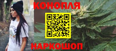 крисы Обь