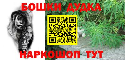 крисы Обь